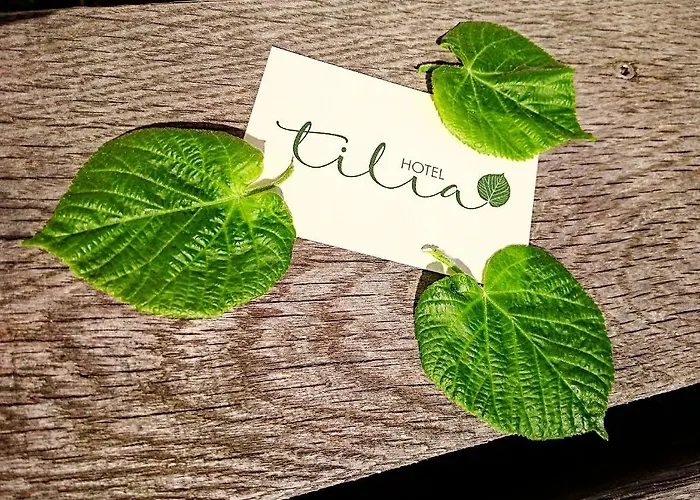 Garni Tilia ホテル 3*